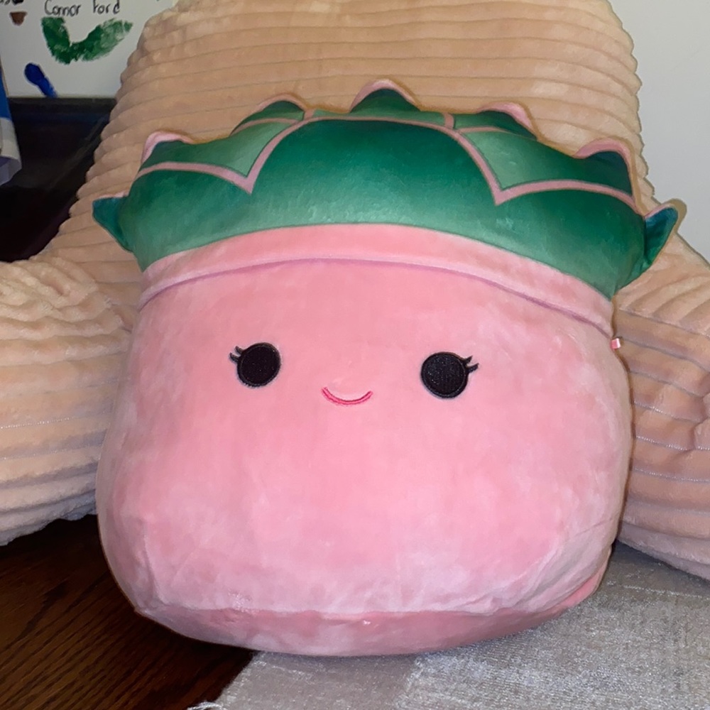 Pink Succulent Plant Squishmallow 12in